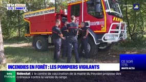 Alsace: malgré les récentes pluies, les pompiers continuent de surveiller les forêts
