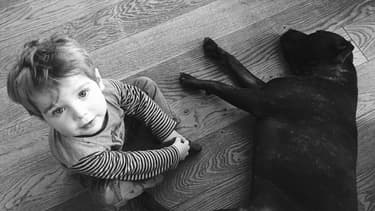 Il est essentiel de préparer le chien à ce nouvel événement