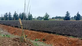 Site à Chassieu à l'est de Lyon où la métropole a inauguré le mardi 4 février sa forêt urbaine