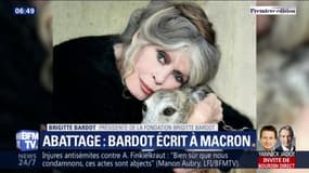 "On leur prend leur vie et on les fait souffrir mille morts." Brigitte Bardot part en guerre contre l'abattage sans étourdissement