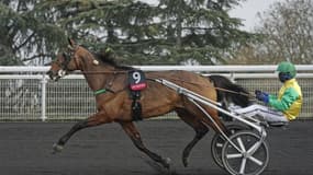 Face Time Bourbon réalise le triplé dans le Prix de Sélection