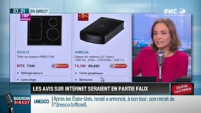 Dupin Quotidien : Les avis sur internet seraient en partie faux - 13/10