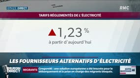 Dupin Quotidien : Les fournisseurs alternatifs d'électricité - 01/08