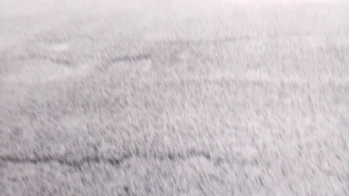 placeholder video