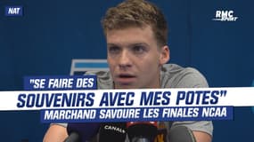 Natation : "Se faire des souvenirs avec mes potes", Marchand savoure les finales NCAA