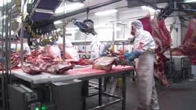 L'un des abattoirs impliqués dans la production des lasagnes, en Roumanie.