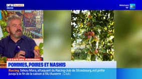 Café des jardiniers: pommes, poires et nashis au menu