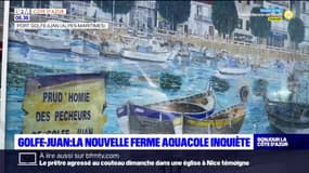 Golfe-Juan: la nouvelle ferme aquacole inquiète les pêcheurs