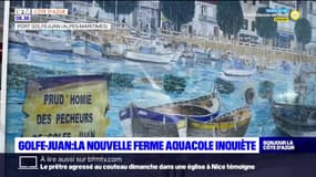 Golfe-Juan: la nouvelle ferme aquacole inquiète les pêcheurs