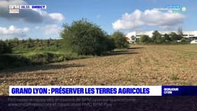 Grand Lyon: un nouveau plan local d'urbanisme pour préserver les terres agricoles 