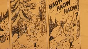 Des planches originales de Tintin, conservées par le neveu d'Hergé.