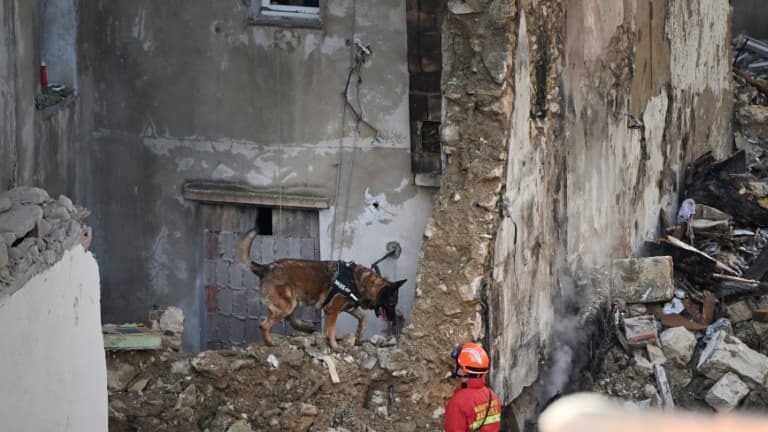 Un pompier recherche avec son chien des survivants dans les décombres d'un immeuble d'habitation, le 10 avril 2023 à Marseille Un pompier recherche avec son chien des survivants dans les décombres d'un immeuble d'habitation, le 10 avril 2023 à Marseille