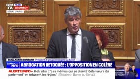Guillaume Gontard, président du groupe écologiste au Sénat compare Élisabeth Borne à "une fossoyeuse de la démocratie française"
