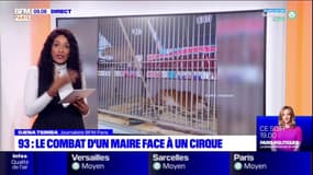 Neuilly-sur-Marne: un cirque installé après avoir menti sur la présence d'animaux sauvages dans ses spectacles