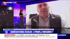 Patrick Bénézit (vice-président de la FNSEA): "L'ampleur du mouvement doit interpeller le gouvernement pour faire en sorte que nous ayons des réponses très rapides"