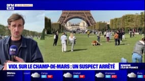 Paris: une touriste dépose plainte pour un viol au Champ-de-Mars, un homme interpellé