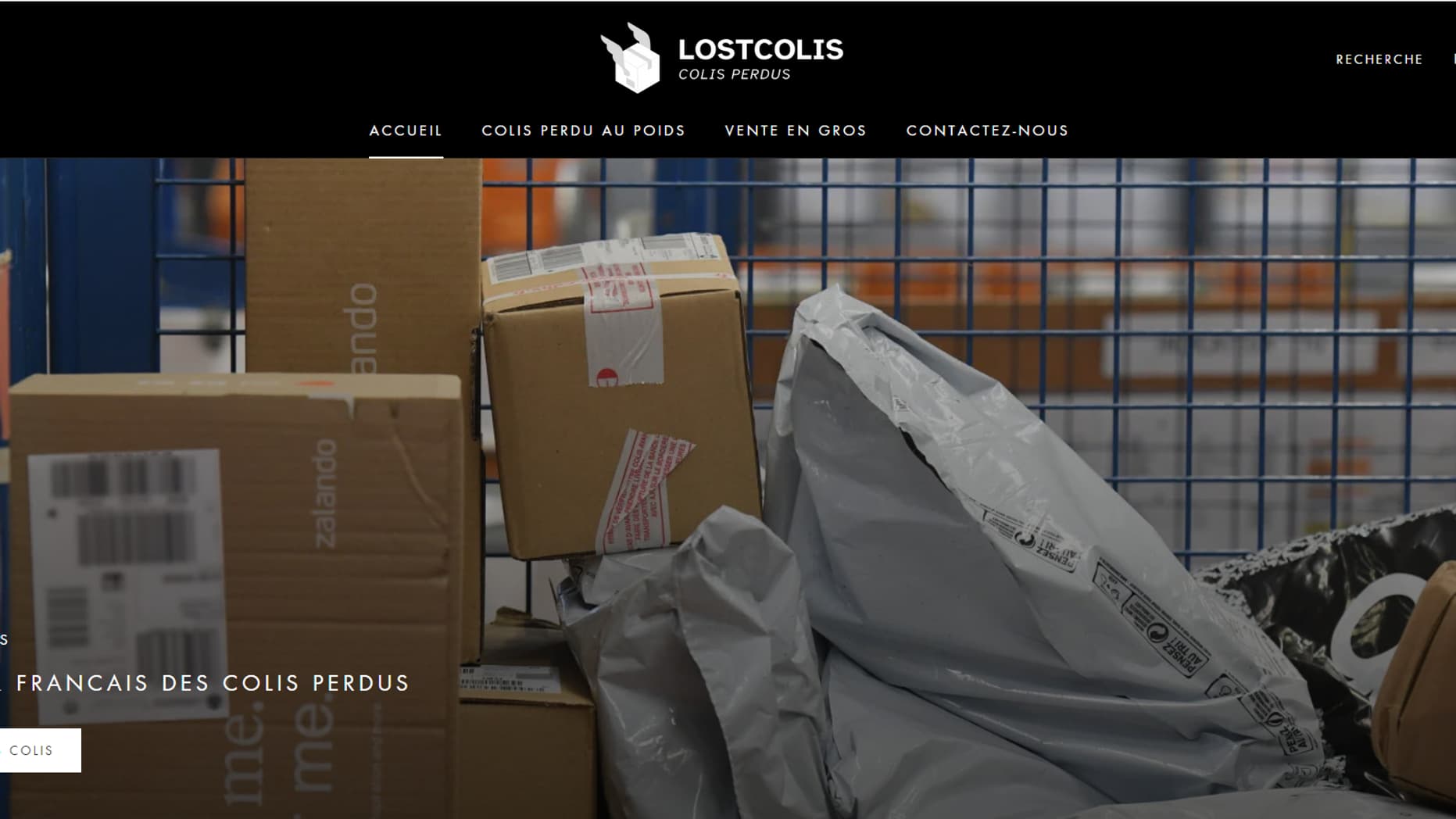 Page d'accueil du site lostcolis.com