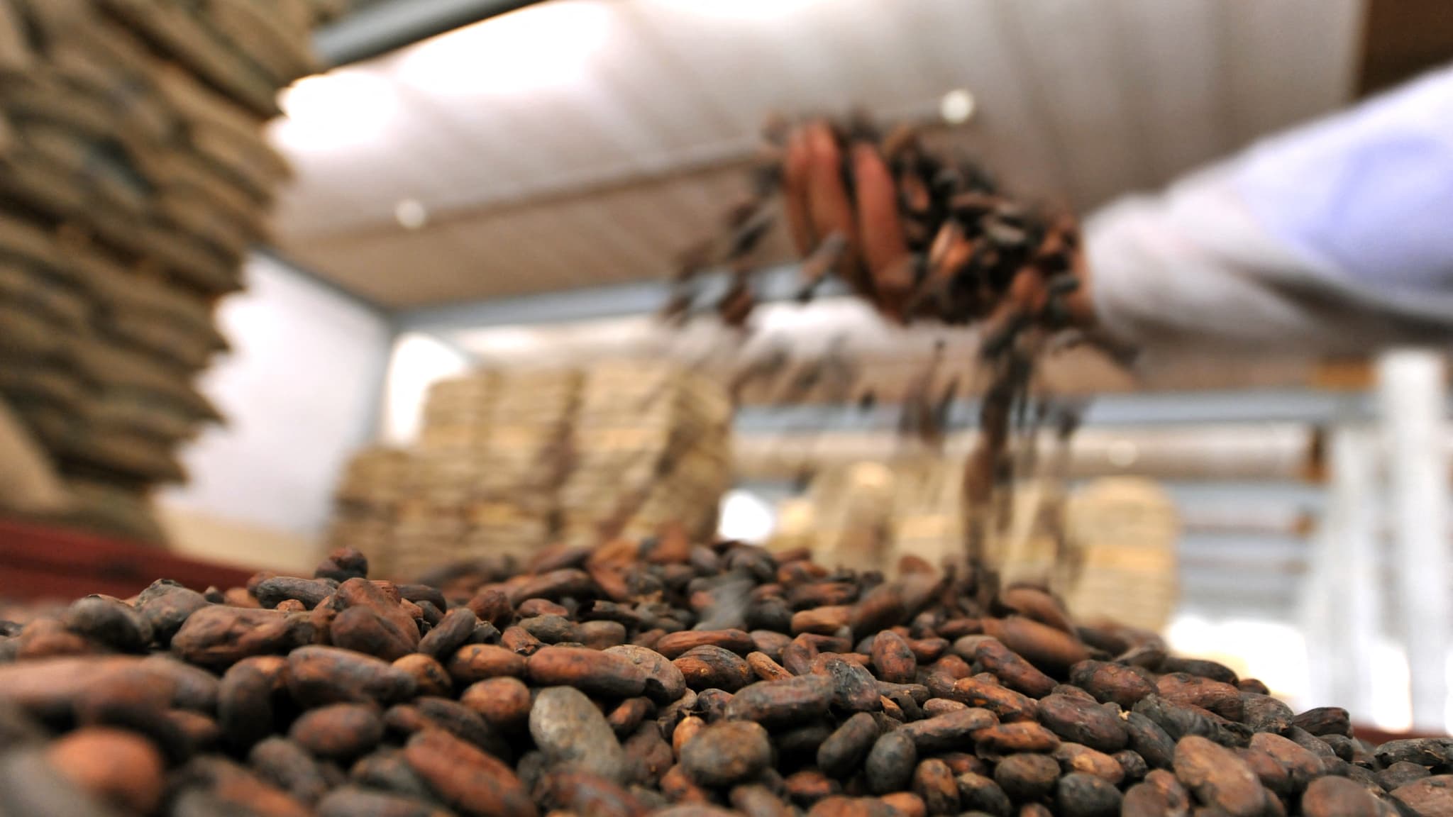 L’azienda di cioccolato Barry Callebaut prevede di tagliare il 18% della sua forza lavoro