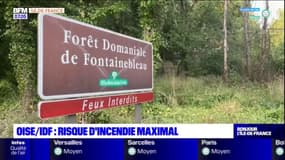 Oise: l'accès aux forêts interdit en raison du risque élevé d'incendie