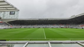 La pelouse de St James Park le 27 août 2023