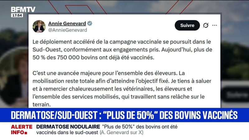 Dermatose nodulaire: la ministre de l'Agriculture Annie Genevard indique que "plus de 50%" des bovins ont été vaccinés dans le sud-ouest