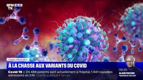 Covid-19: comment traquer le variant britannique du virus ?