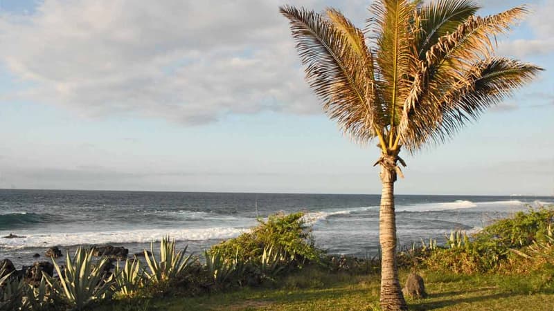 La Réunion (photo d'illustration)