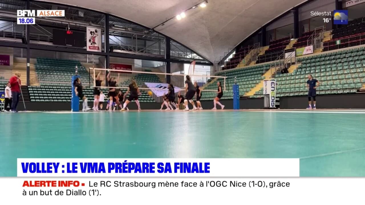 Volley: Le Volley Mulhouse Alsace Prépare Sa Finale