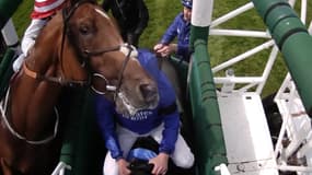 Un jockey frappé par un cheval 