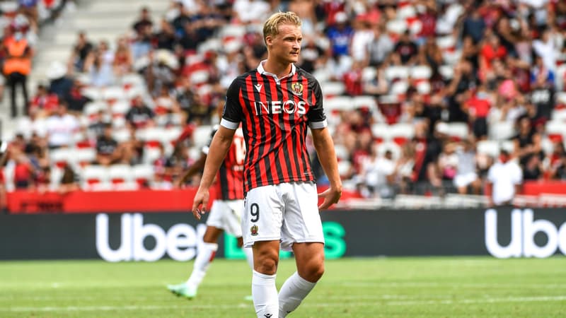 K. Dolberg