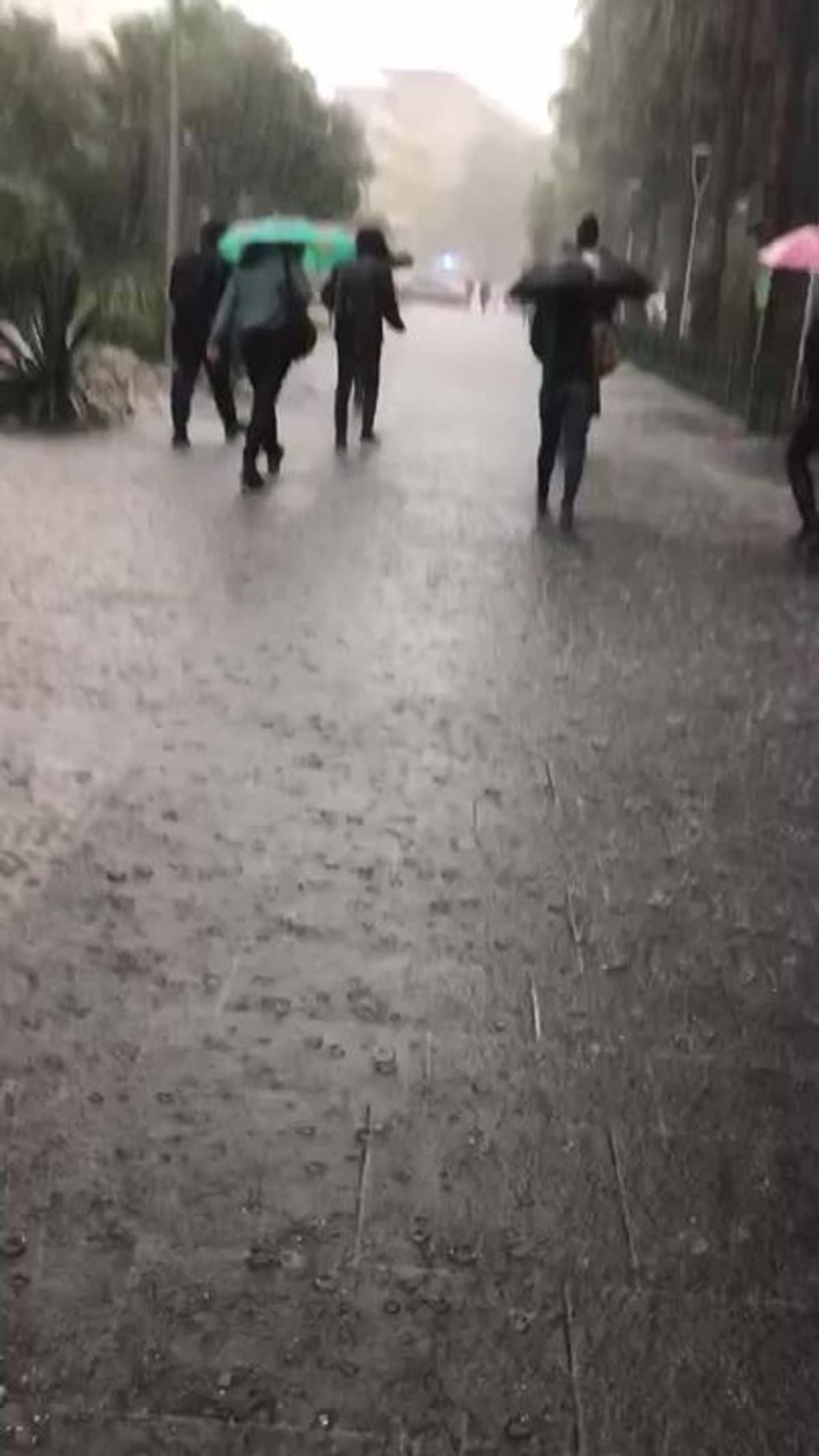 placeholder video