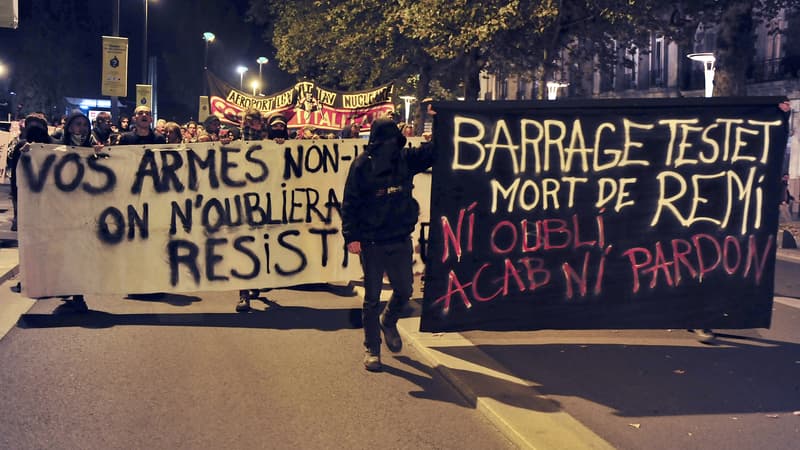 Manifestation contre les violences policières après la mort de Rémi Fraisse, le 27 octobre, à Nantes.