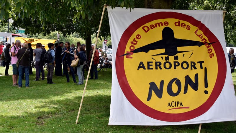 Manifestation contre la construction de l'aéroport de Notre-Dame-des-Landes, à Nantes le 18 juin 2015.