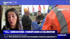 "Les normes environnementales sont là pour protéger les citoyens et nos agriculteurs", affirme Karima Delli, députée européenne (EELV)