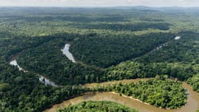 Vue aérienne de la rivière Mana dans la forêt amazonienne, le 12 octobre 2017 en Guyane française. - Jody Amiet - AFP