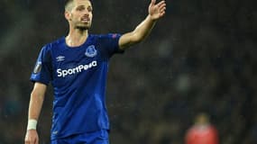 Morgan Schneiderlin