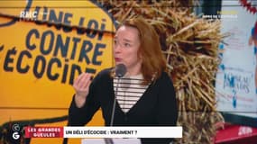 Un délit d'écocide, vraiment ? - 23/11