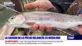 Hauts-de-France: la saison de la pêche à la truite est lancée