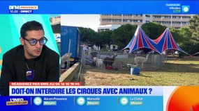 " Les Tchatcheurs " en direct à 10h sur BFM Marseille Provence