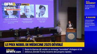 Le Nobel de médecine 2025 récompense un trio pour la recherche sur le contrôle du système immunitaire