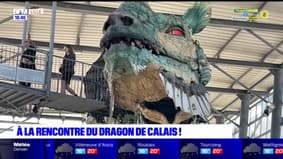 L'été chez nous: à la rencontre du Dragon de Calais