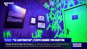 "The labyrinth"the exhibition signed Tim Burton - 04/30
