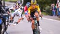 Julian Alaphilippe chute sur le Tour des Flandres