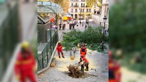 Un arbre est tombé le long du funiculaire de Montmartre 