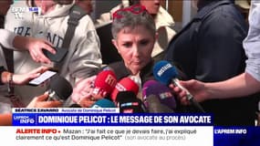 "Je n'oublie pas son combat à elle": le message de l'avocate de Dominique Pelicot à Gisèle Pelicot après sa plaidoirie