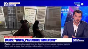 Top Sorties Paris du vendredi 4 novembre 2022 - Paris: "Tintin, l'aventure immense"