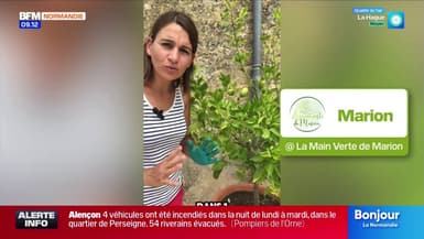 Jardinage & Flûte enchantée - La météo de Colas du mardi 30 septembre 2025 