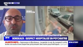 Agression d'une septuagénaire et de sa petite-fille: "Bordeaux n'est plus la belle endormie", pour Sylvain Charenat (Alliance Police nationale) 