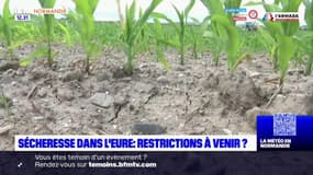 Sécheresse dans l'Eure: bientôt des restrictions? 