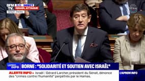 Patrick Kanner, président du groupe Socialiste au Sénat: "Le Hamas est une organisation terroriste, une filiale de la mort"